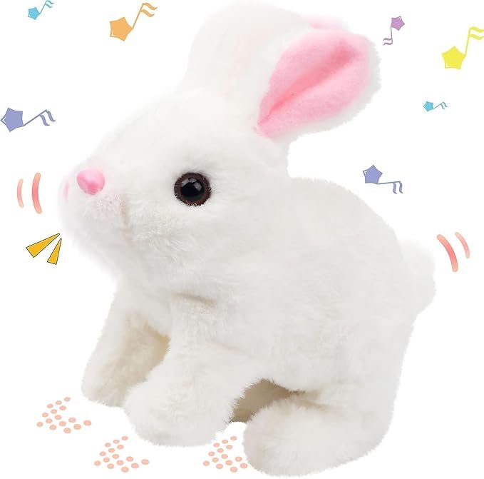 RABBIT